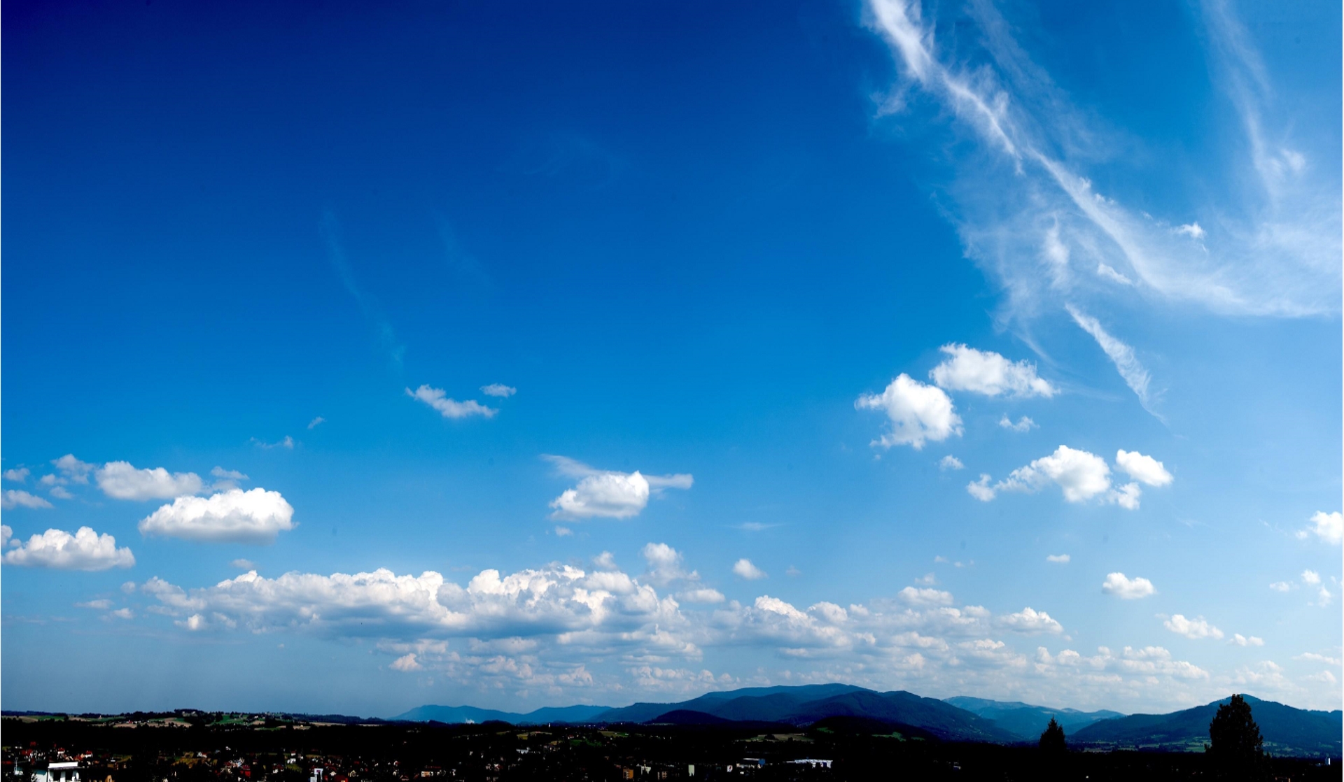 新金宝(中国游)有限公司官网